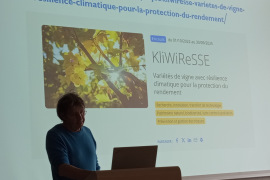 Comprendre pour développer ses propres stratégies de production