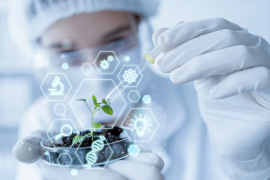 Les micro-organismes aux origines de la fertilité des cultures