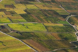 Parcours géologique dans le vignoble