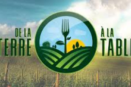 De la terre à la table : hygiène et saveurs pour tous, les 15 et 22 janvier 2026